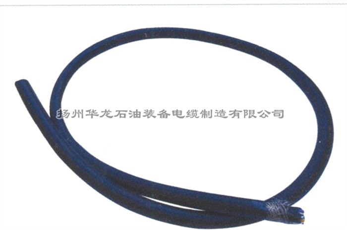 双护套铠装控制电缆